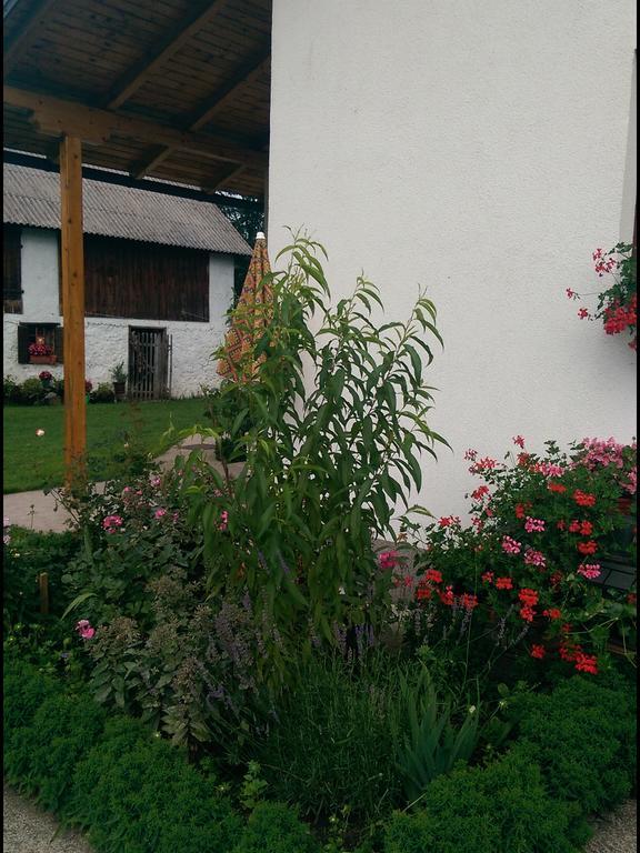 House Nada Apartment Donji Babin Potok Exterior photo