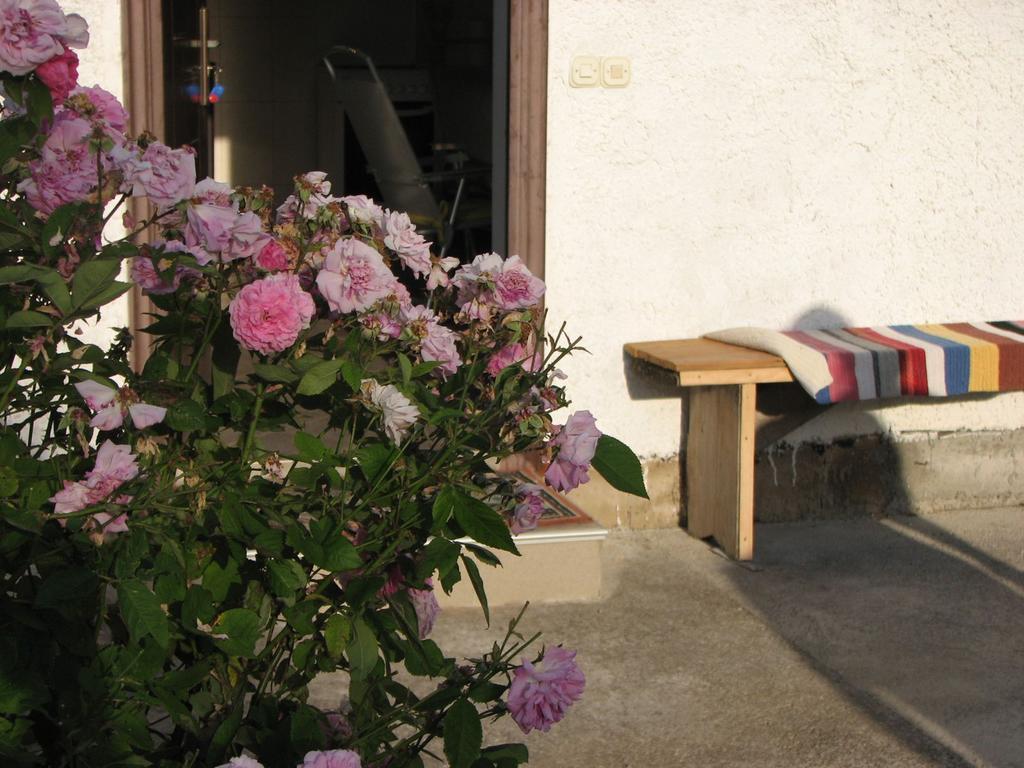 House Nada Apartment Donji Babin Potok Exterior photo