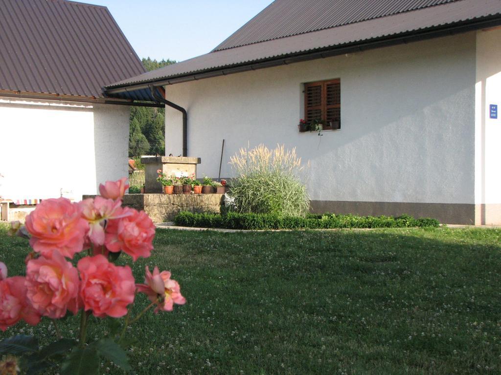 House Nada Apartment Donji Babin Potok Exterior photo